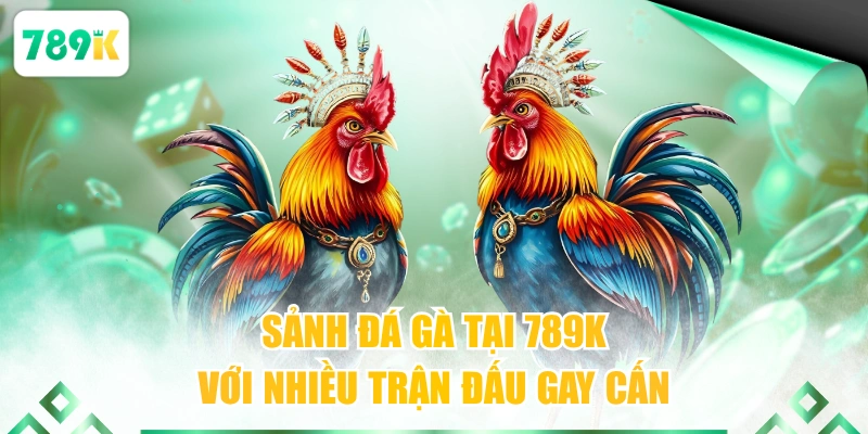 Sảnh đá gà tại 789K với nhiều trận đấu gay cấn