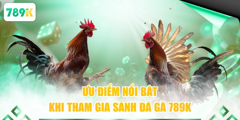 Ưu điểm nổi bật khi tham gia sảnh đá gà 789K