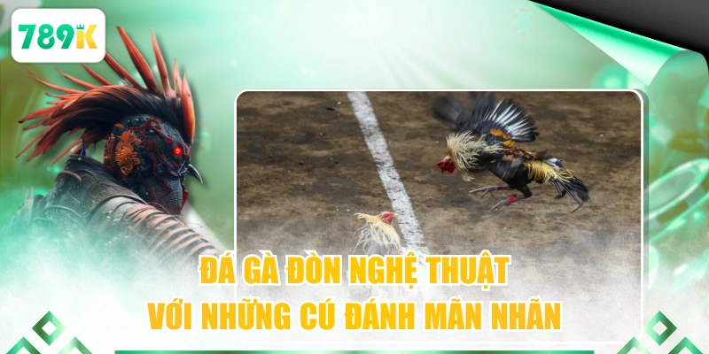 Đá gà đòn nghệ thuật với những cú đánh mãn nhãn