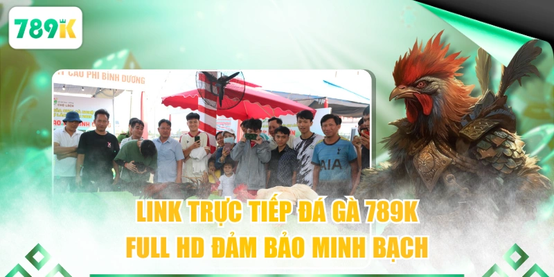 Link trực tiếp đá gà 789K full HD đảm bảo minh bạch