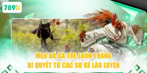 mẹo đá gà tre
